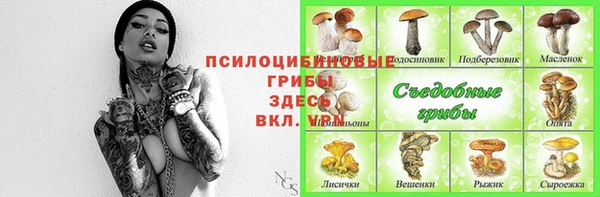 амф Медвежьегорск