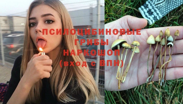 амф Медвежьегорск