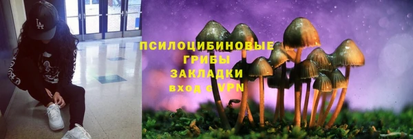 бошки Магас